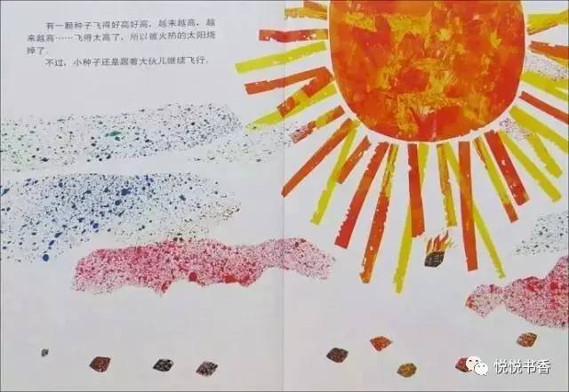 种子小的植物有哪些_小种子_种子小营养物质不足