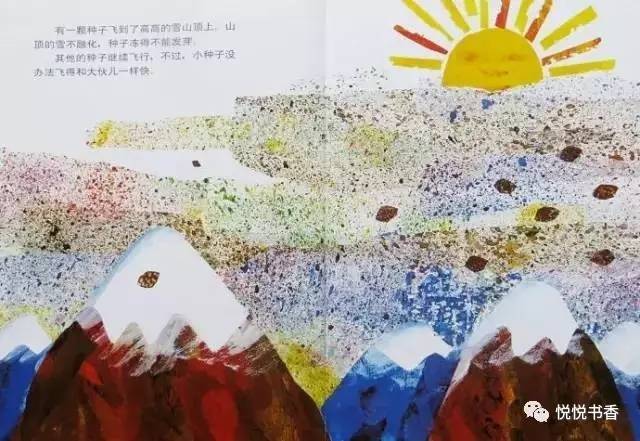 种子小的植物有哪些_小种子_种子小营养物质不足