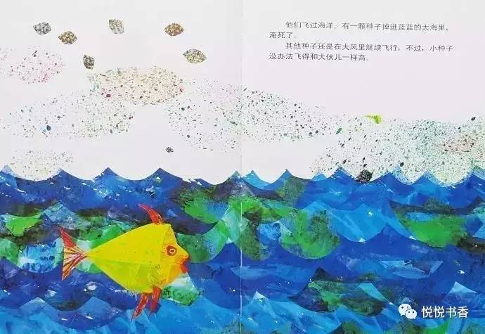 小种子_种子小营养物质不足_种子小的植物有哪些