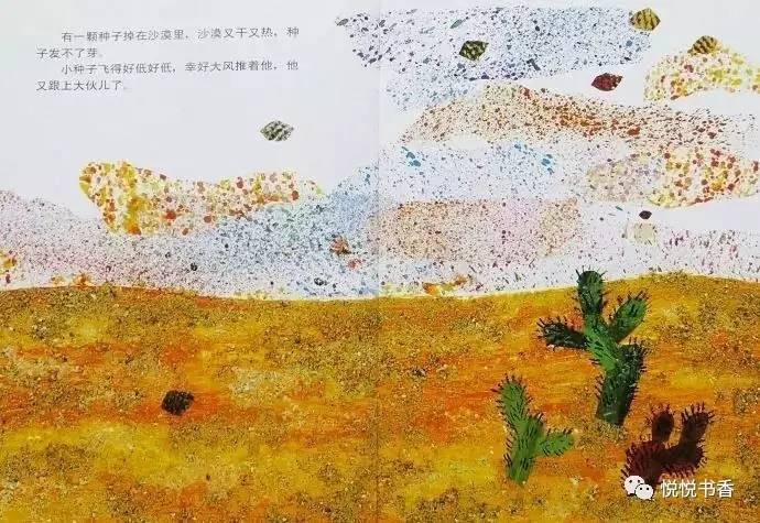 小种子_种子小的植物有哪些_种子小营养物质不足