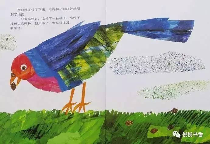 种子小的植物有哪些_小种子_种子小营养物质不足