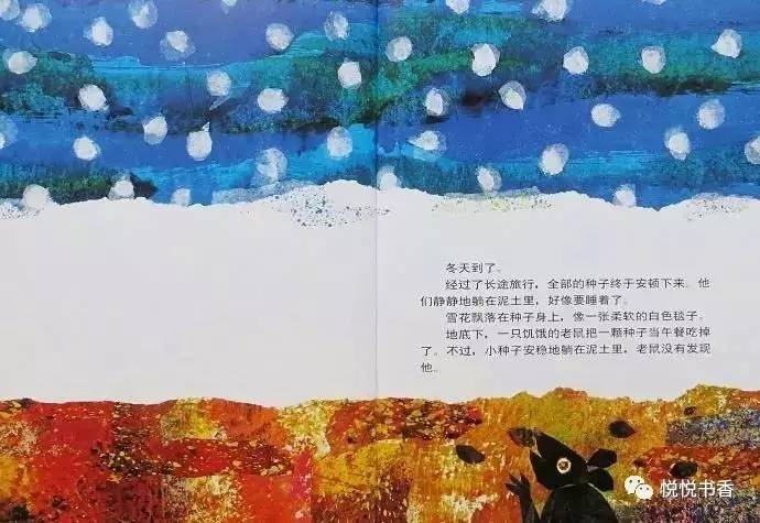 种子小营养物质不足_种子小的植物有哪些_小种子