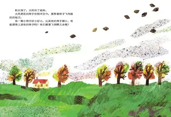 小种子_种子小营养物质不足_种子小小的像什么的比喻句