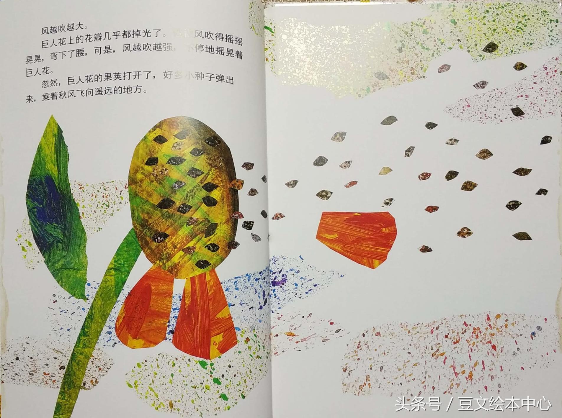种子小营养物质不足_种子小小的像什么的比喻句_小种子