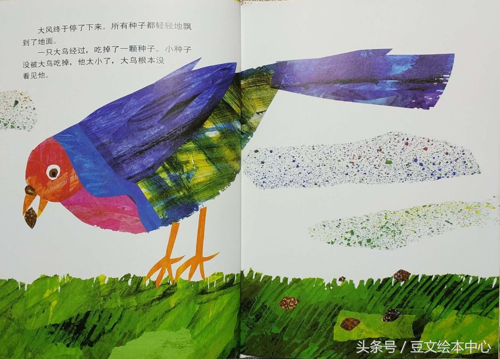 小种子_种子小营养物质不足_种子小小的像什么的比喻句