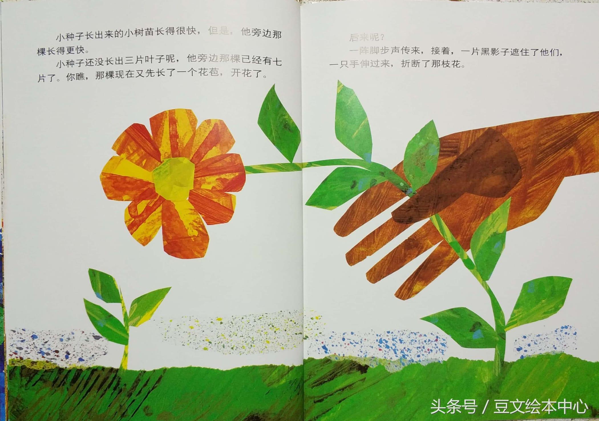 种子小小的像什么的比喻句_小种子_种子小营养物质不足