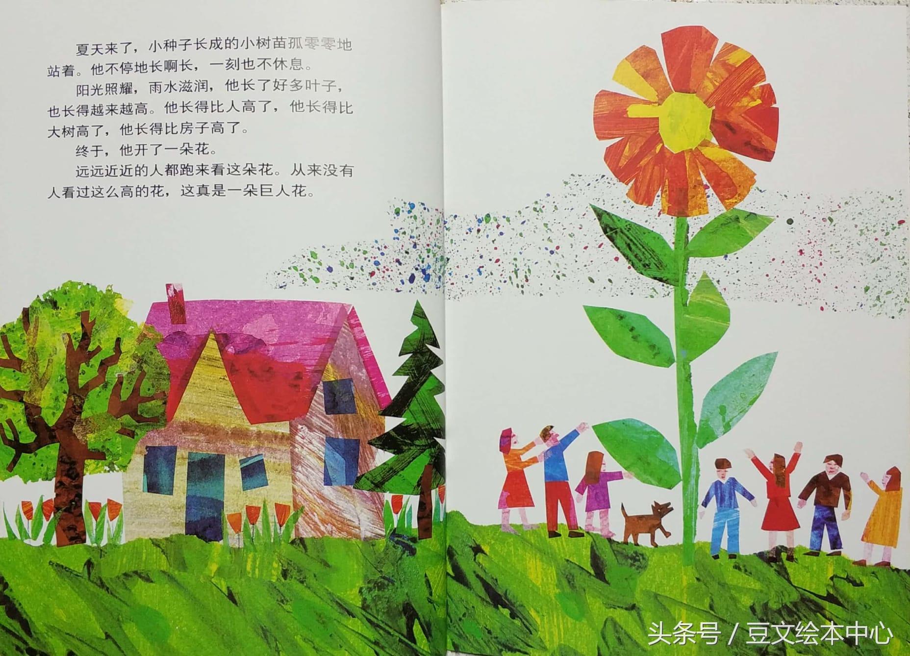 种子小小的像什么的比喻句_小种子_种子小营养物质不足