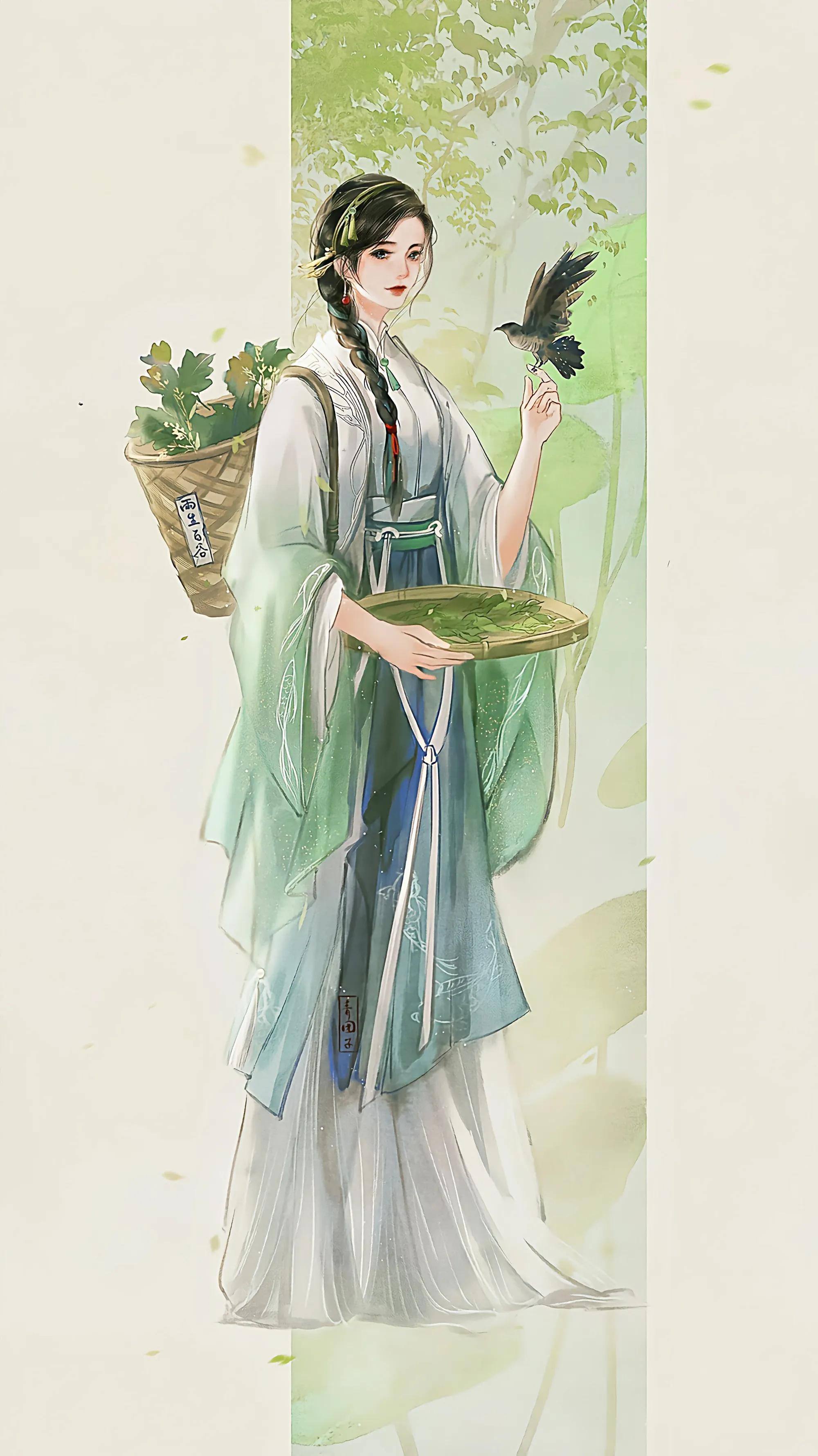 师大附中_大相师_师大专升本