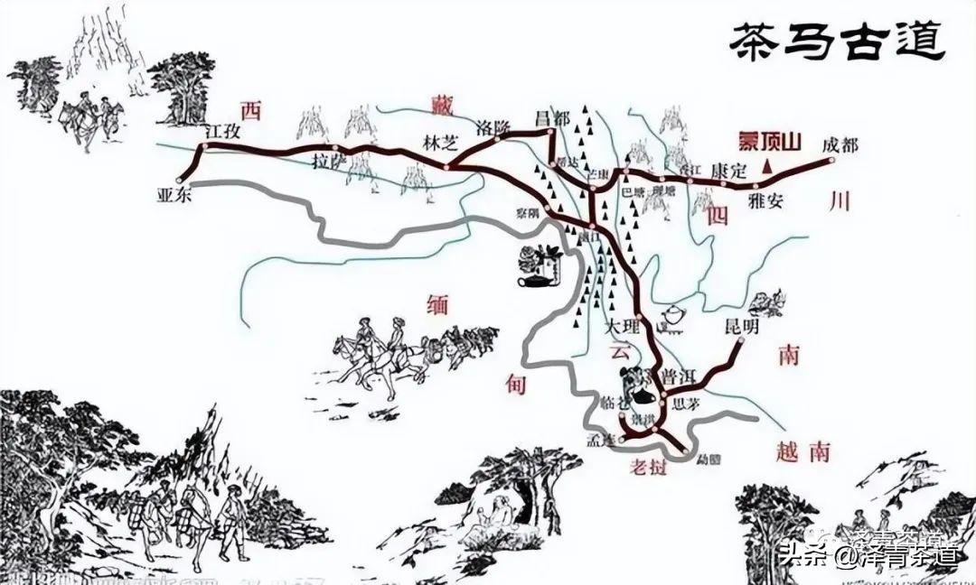 古道茶旅_古方袪湿茶_古道湿茶