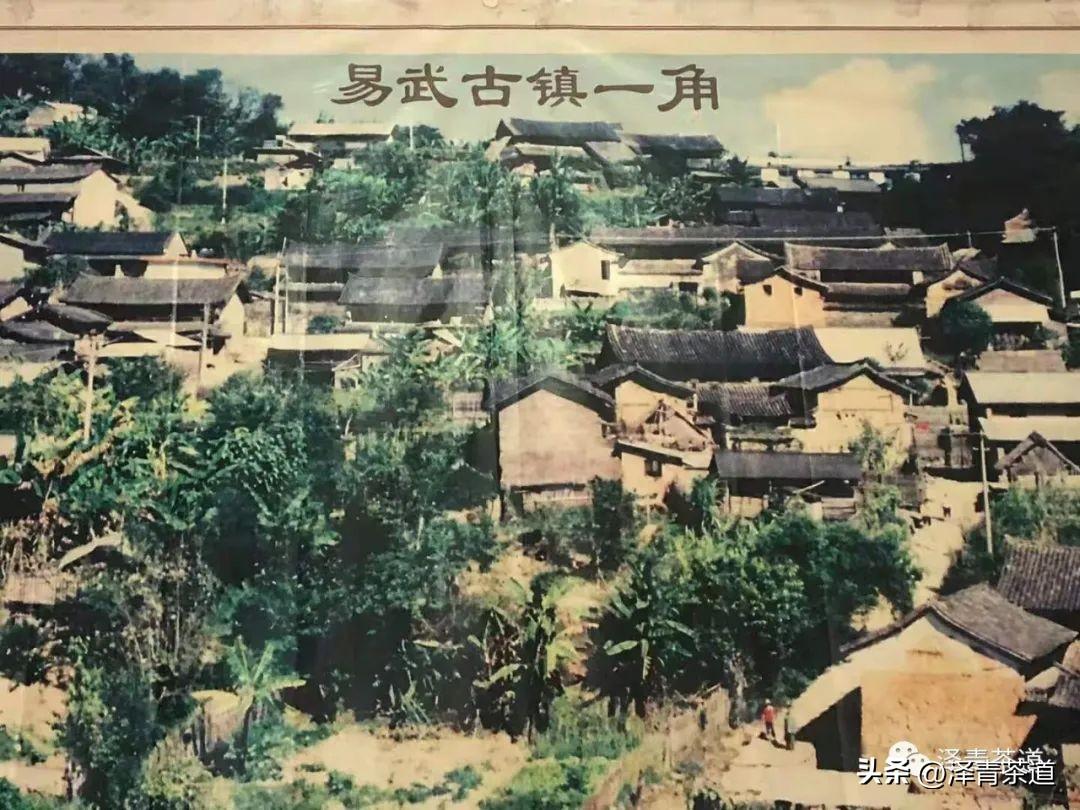 古方袪湿茶_古道茶旅_古道湿茶