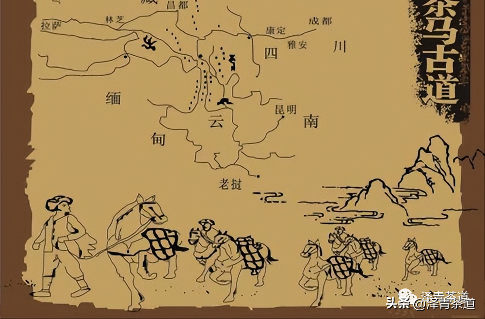 古方袪湿茶_古道湿茶_古道茶旅