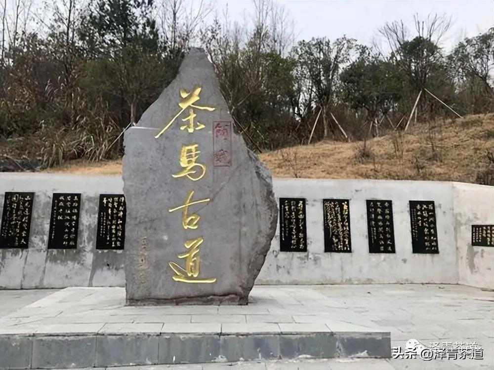 古道湿茶_古方袪湿茶_古道茶旅