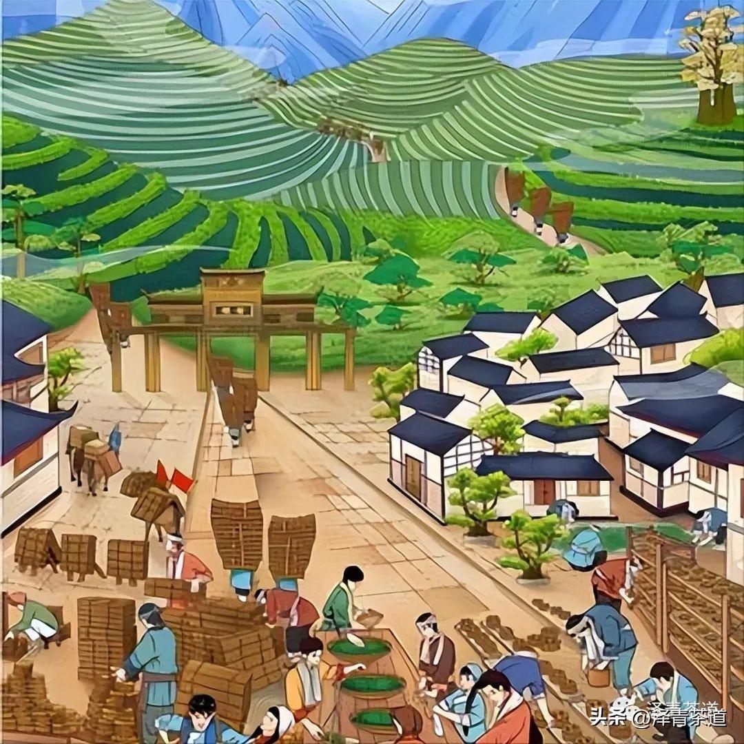 古道茶旅_古道湿茶_古方袪湿茶