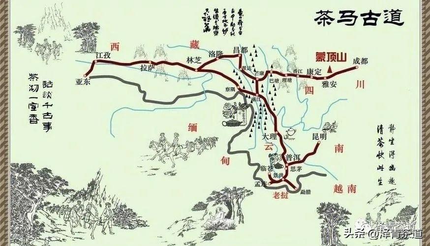 古道茶旅_古方袪湿茶_古道湿茶