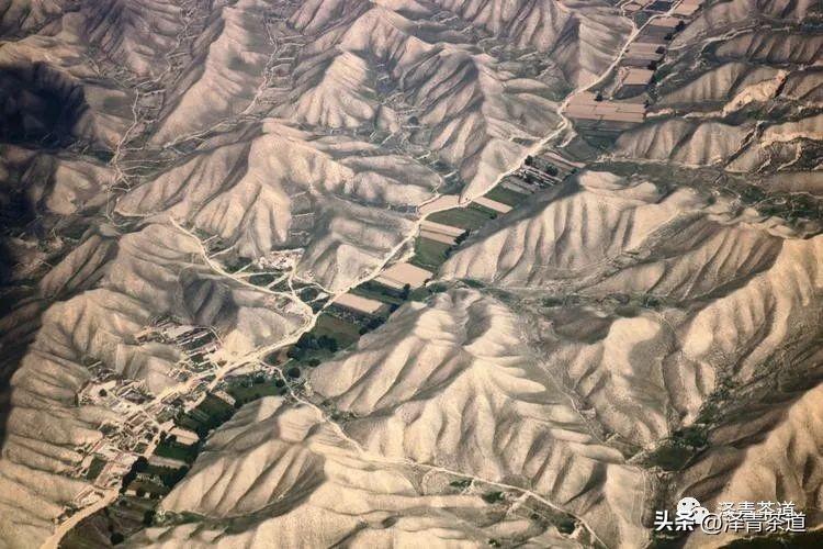 古道湿茶_古方袪湿茶_古道茶旅