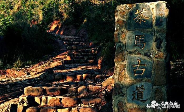 古道茶旅_古道湿茶_古方袪湿茶