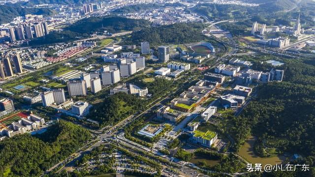 深圳信息职业技术学院平台_深圳信息技术学院教务系统_深圳信息技术学院官网