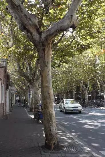繁体庐字行草书写法大全_繁体庐字怎么写_庐的繁体字