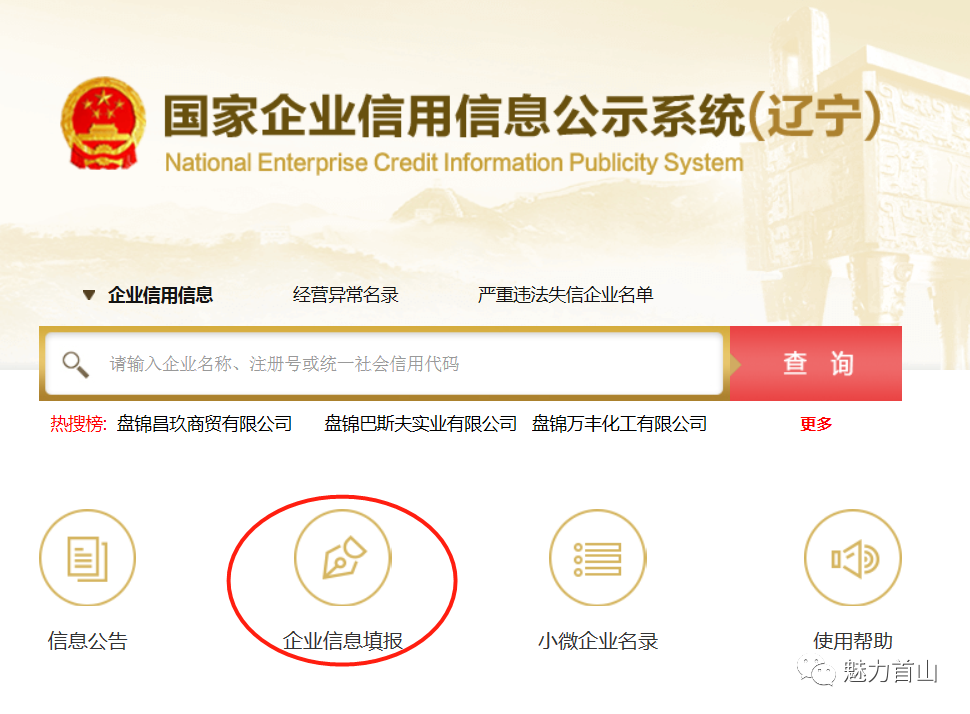 企业查询辽宁_辽宁企业信息填报系统登录_辽宁企业信息系统查询系统