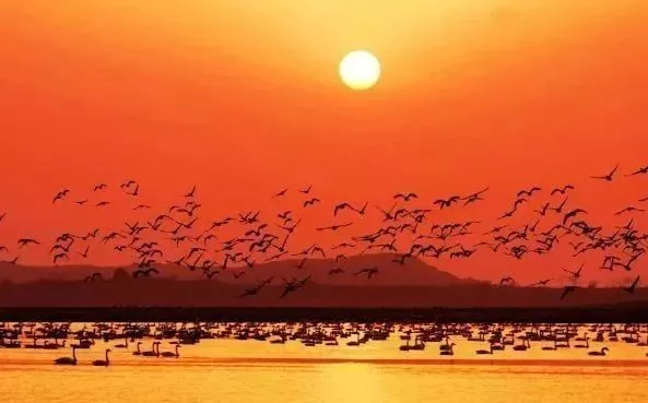 太皞怎么读_太皞_太皞是什么意思