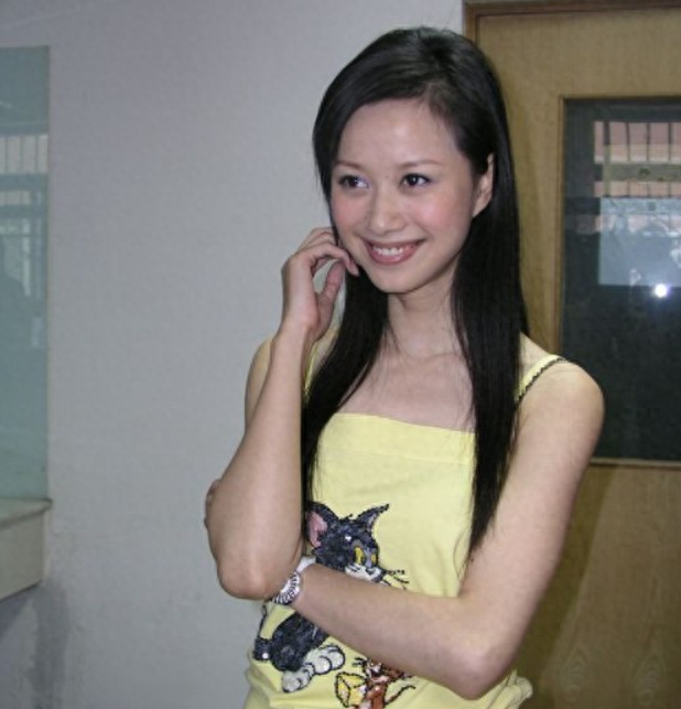 碧血剑电影演员_碧血剑女演员_碧血剑演员表