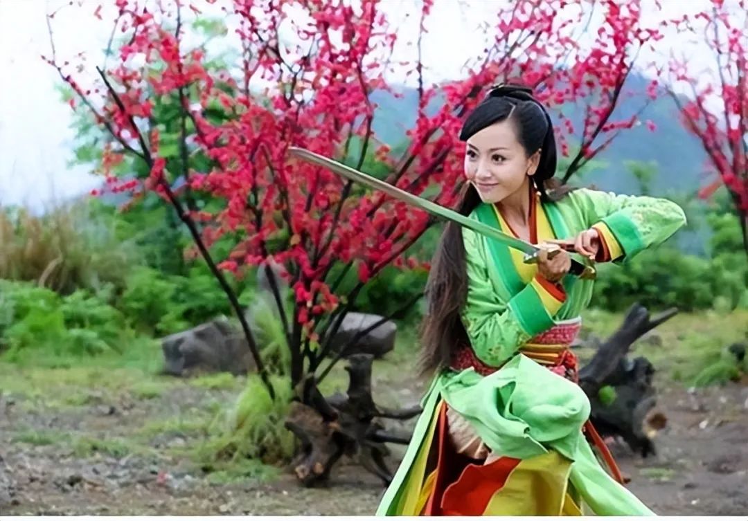 碧血剑女演员_碧血剑电影演员_碧血剑演员表