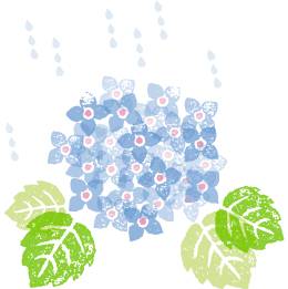 红茶坊_红茶坊_红茶坊