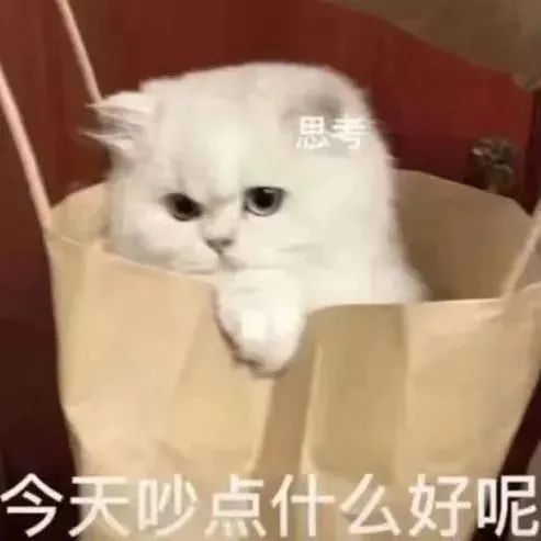 有心杀贼_有心杀贼的贼指谁_杀贼有功