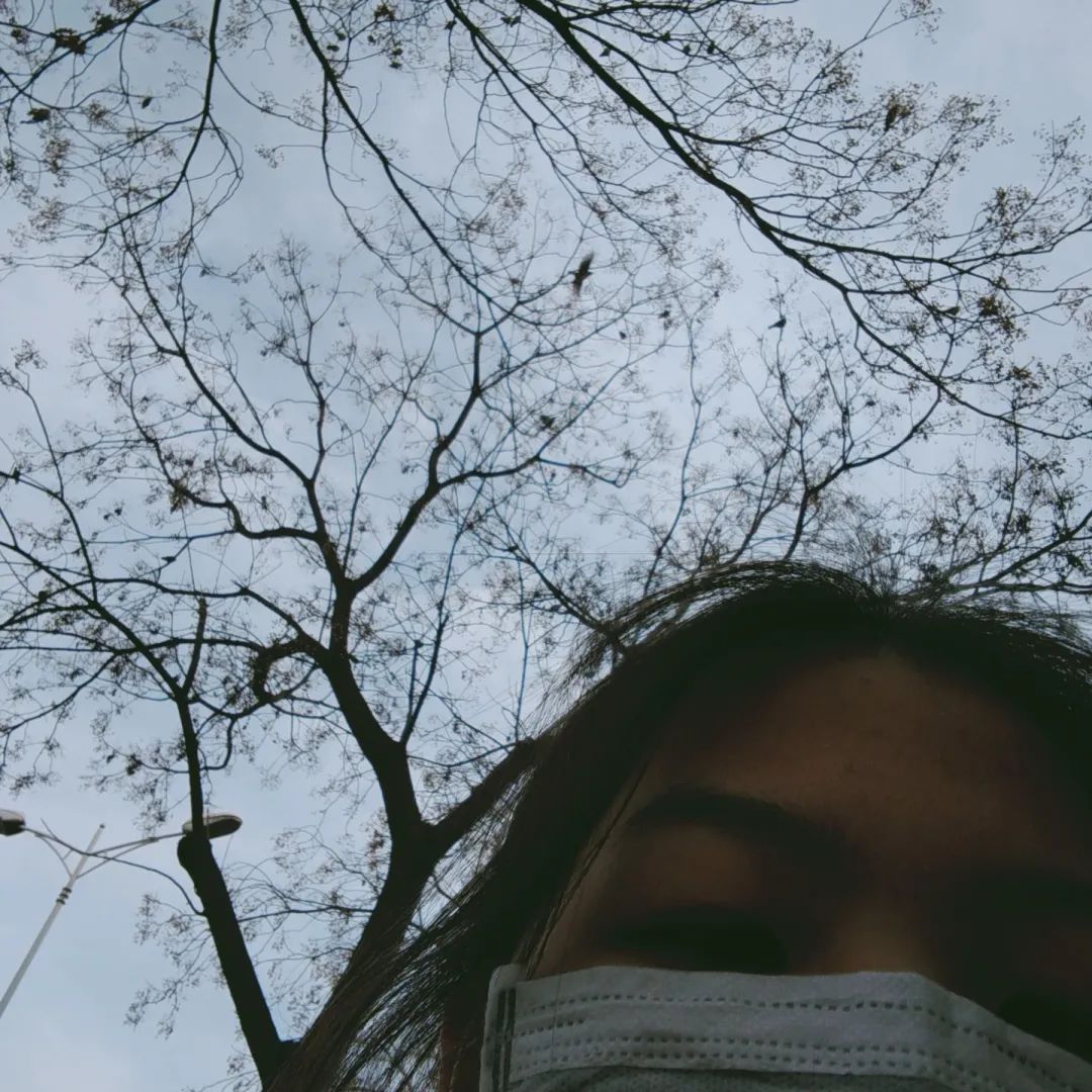 南通大学教务系统_南通教务处_南通大学教务