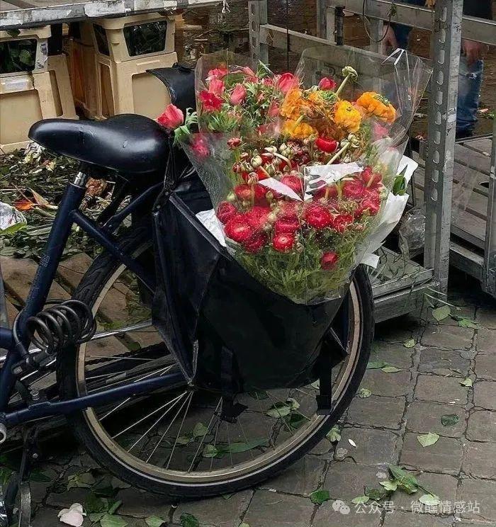 坦荡如砥_坦荡如砥下一句_坦荡如砥形容什么