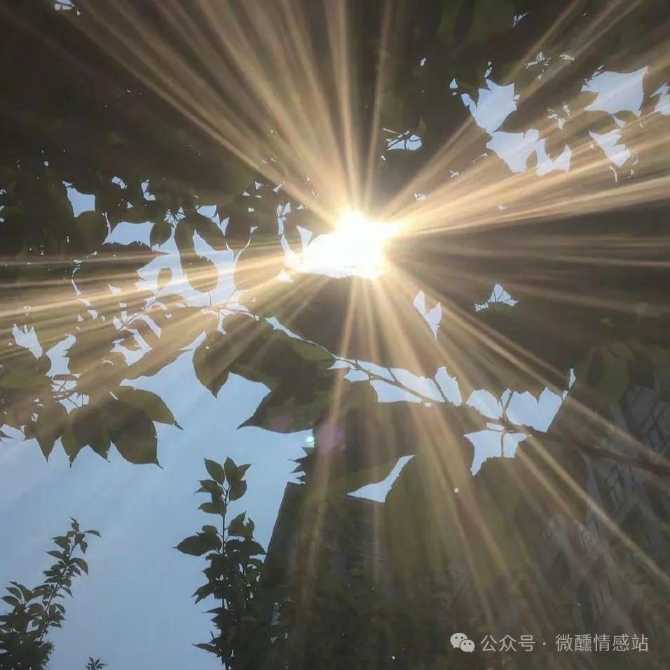 坦荡如砥形容什么_坦荡如砥下一句_坦荡如砥