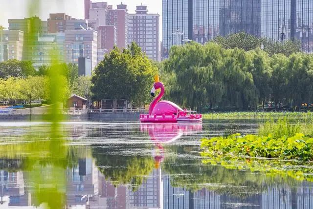 立秋驾培_立秋驾培刷学时步骤图_立秋驾培怎么绑定身份