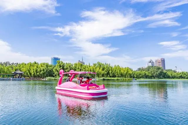 立秋驾培怎么绑定身份_立秋驾培刷学时步骤图_立秋驾培