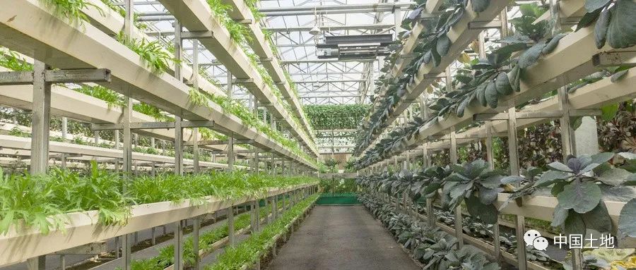 乡村基础设施建设存在的问题_乡村基础设施建设存在的问题_乡村基础设施存在的问题