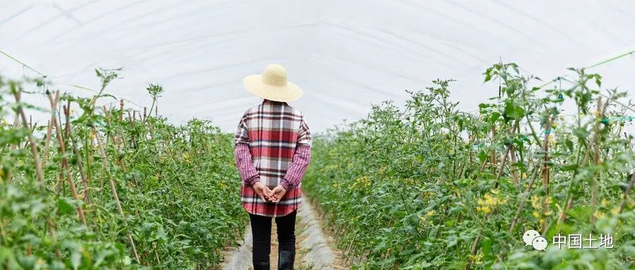 乡村基础设施建设存在的问题_乡村基础设施建设存在的问题_乡村基础设施存在的问题