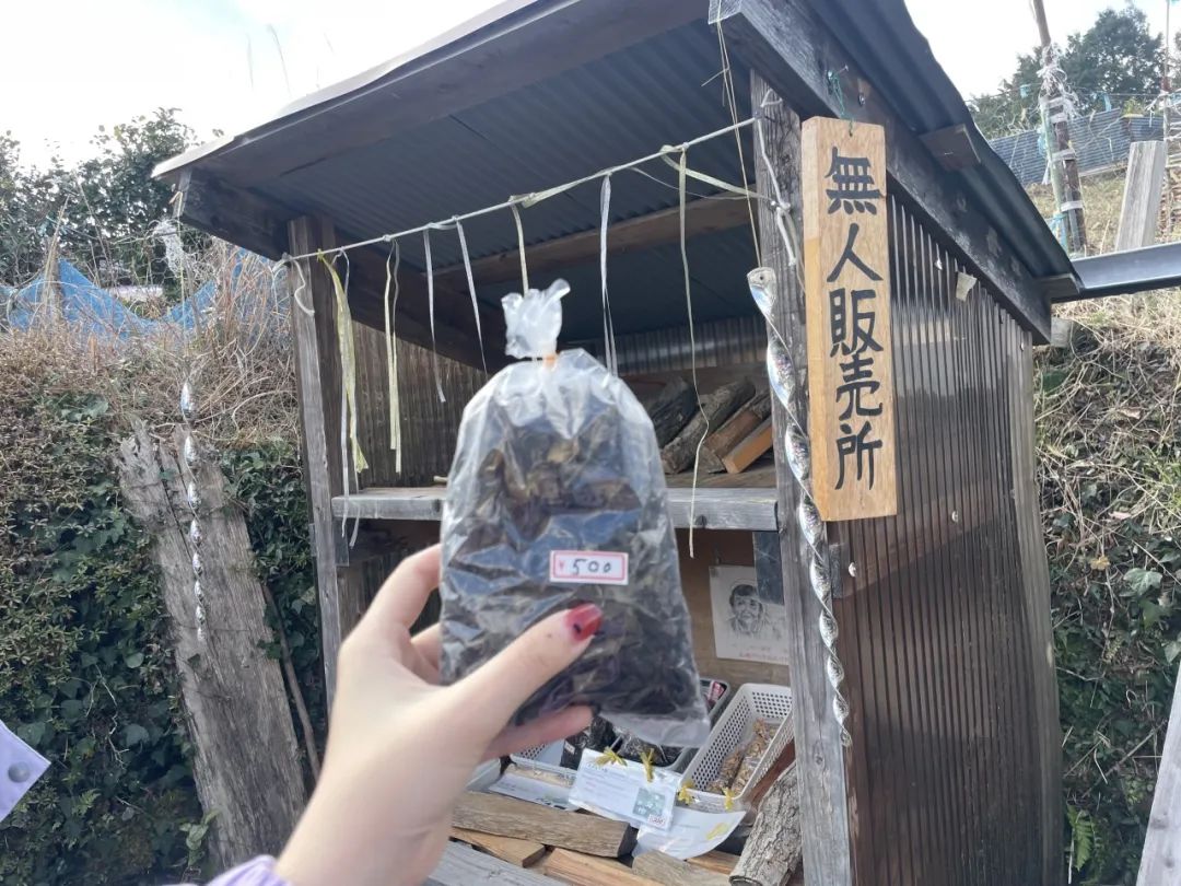 日元符号円怎么念_日元符号_日元符号为什么和人民币一样