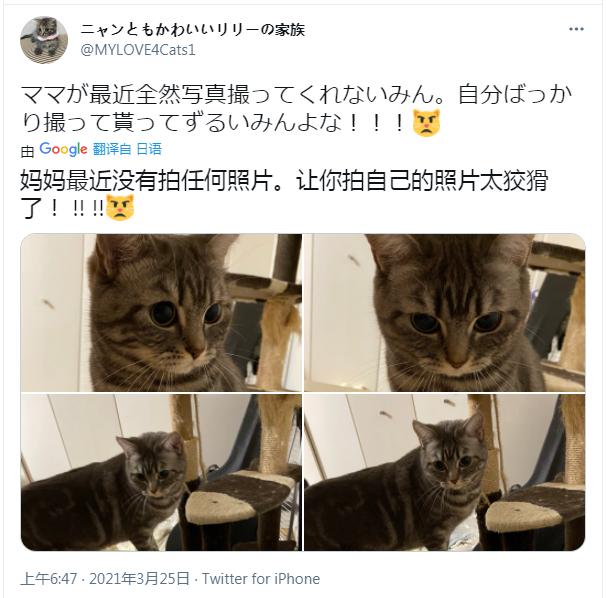 日元符号怎么打_日元符号标志_日元符号