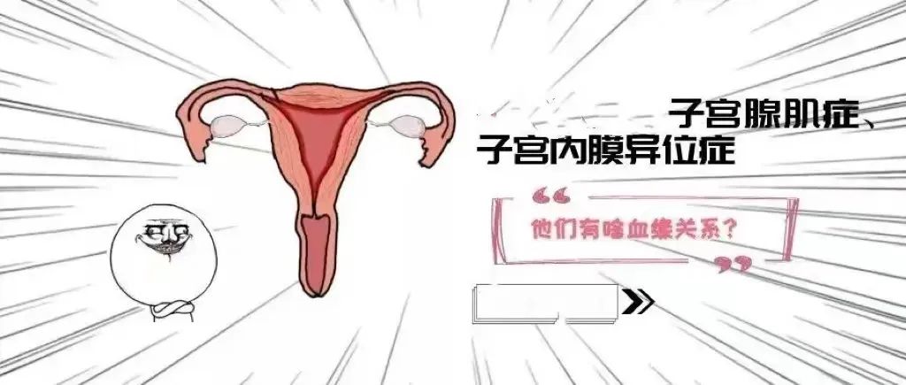 云南本草助孕贴_云南助孕_云南孕宝生物科技有限公司