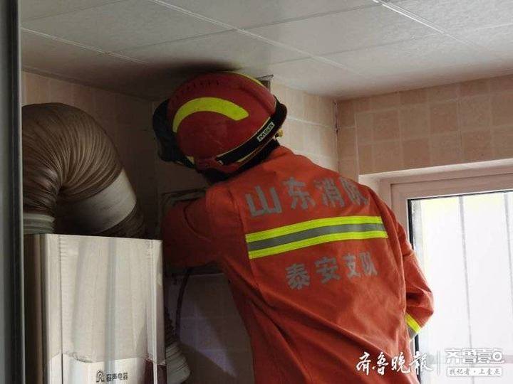 哀鸣_其间旦暮闻何物杜鹃啼血猿哀鸣_哀鸣的近义词