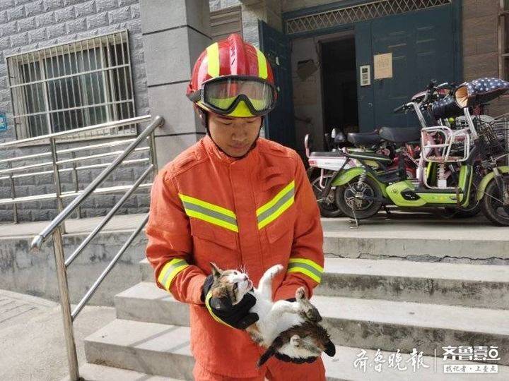 哀鸣的近义词_其间旦暮闻何物杜鹃啼血猿哀鸣_哀鸣