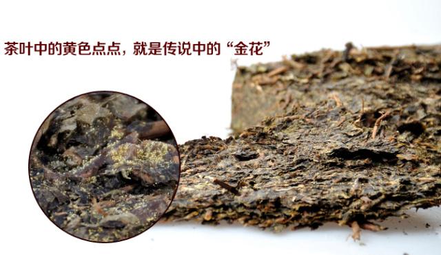 茯茶素_茯茶素_茯茶素