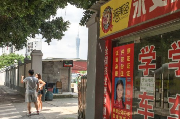 广东驾驶培训公共服务_广东省驾驶培训公众服务网_广东省驾驶培训公众服务号