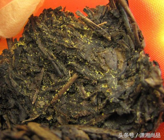 茯茶素_茯茶素_茯茶素