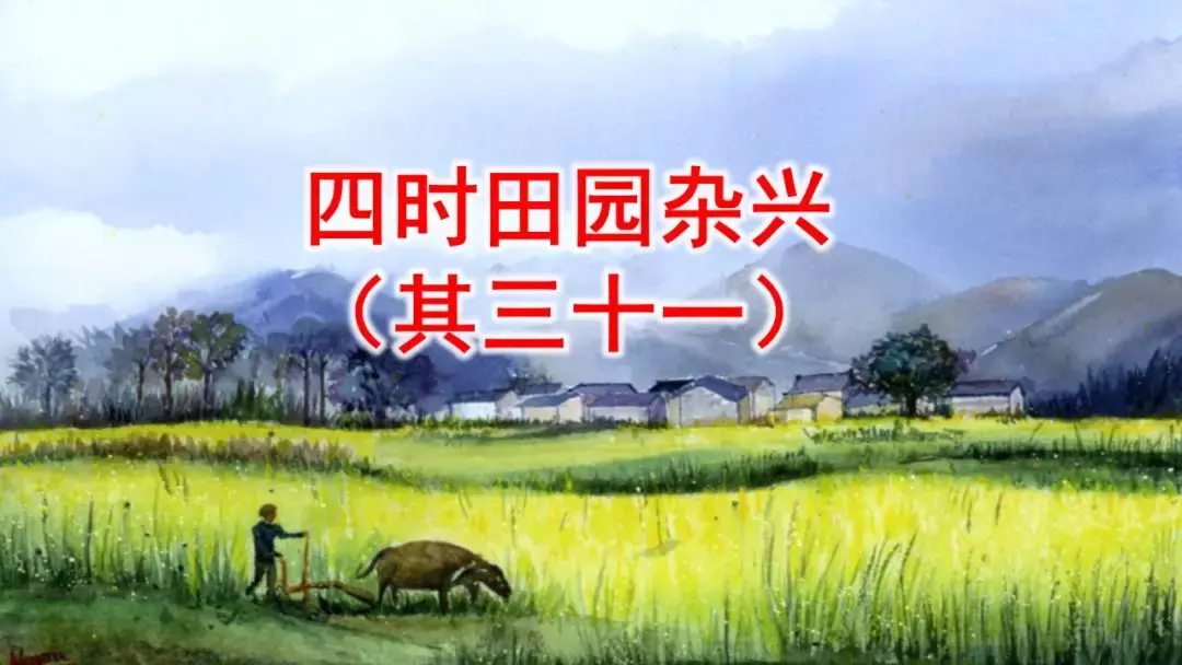 呆呆读呆毛小作文_呆呆怎么读_呆呆读啥