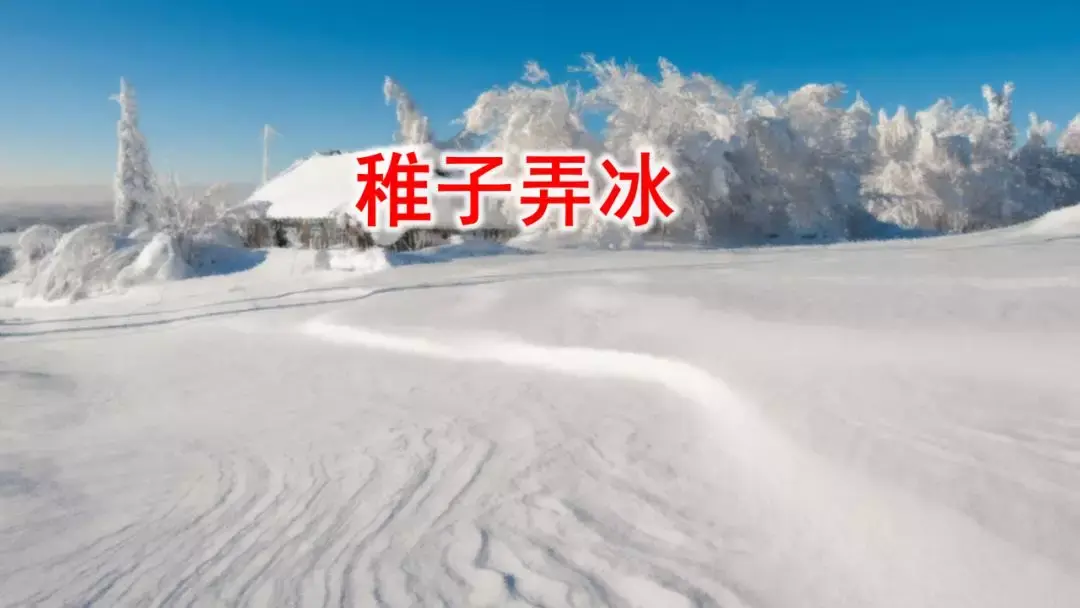 呆呆怎么读_呆呆读呆毛小作文_呆呆读啥