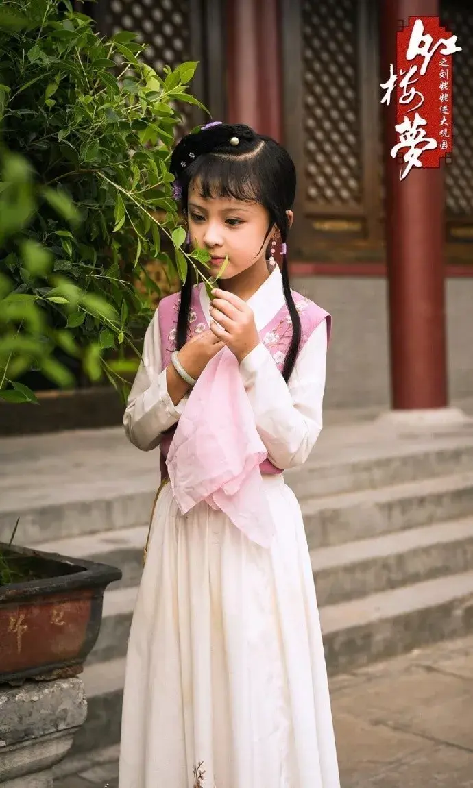 呆呆读啥_呆呆读呆毛小作文_呆呆怎么读
