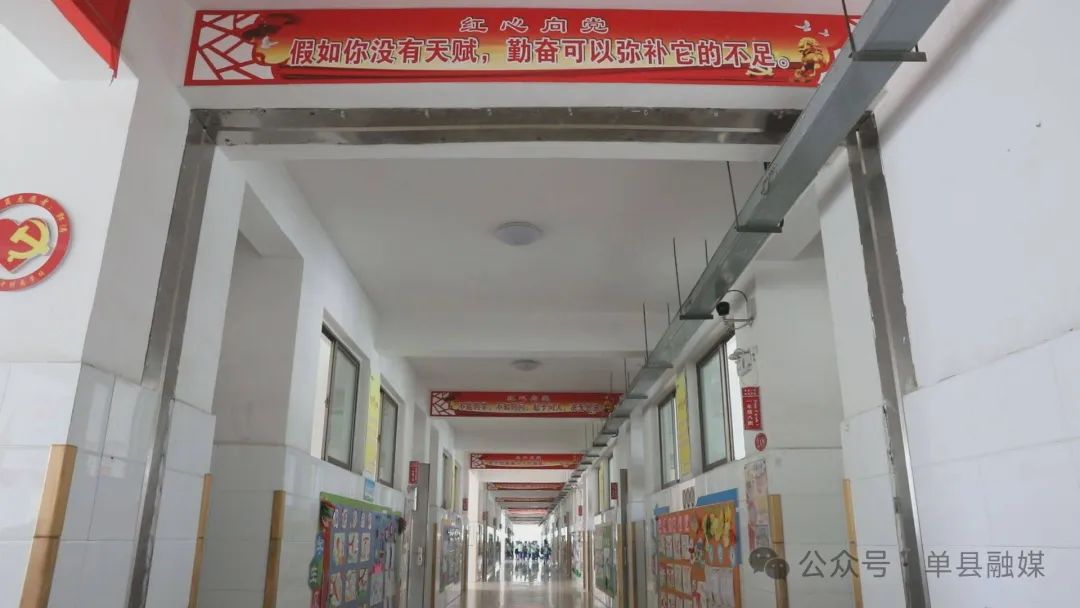 单县一中的全称_单县一中多少亩_单县一中