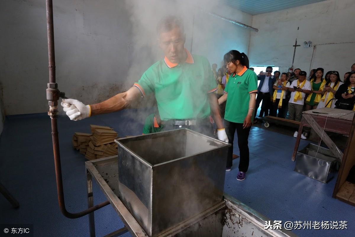 茯茶素_茯茶素_茯茶素