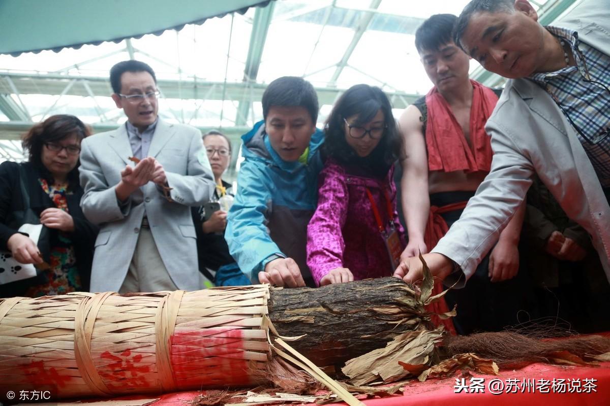 茯茶素_茯茶素_茯茶素