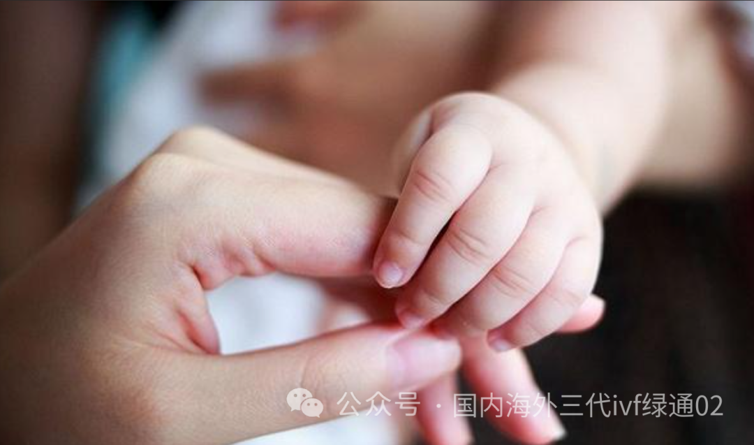 重庆助孕价格_重庆助孕_重庆助孕中介